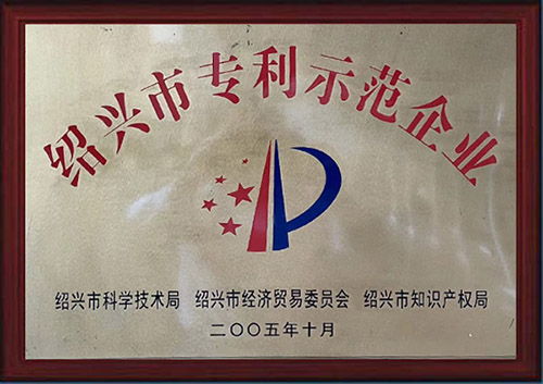 2005年榮獲紹興市專利示范企業.jpg